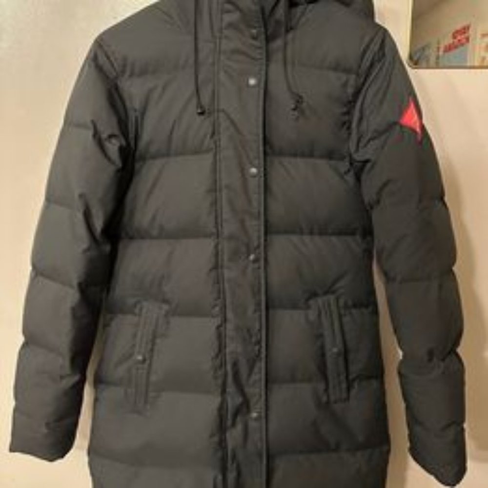 Eastern Mountain Sports Puffy Parka
